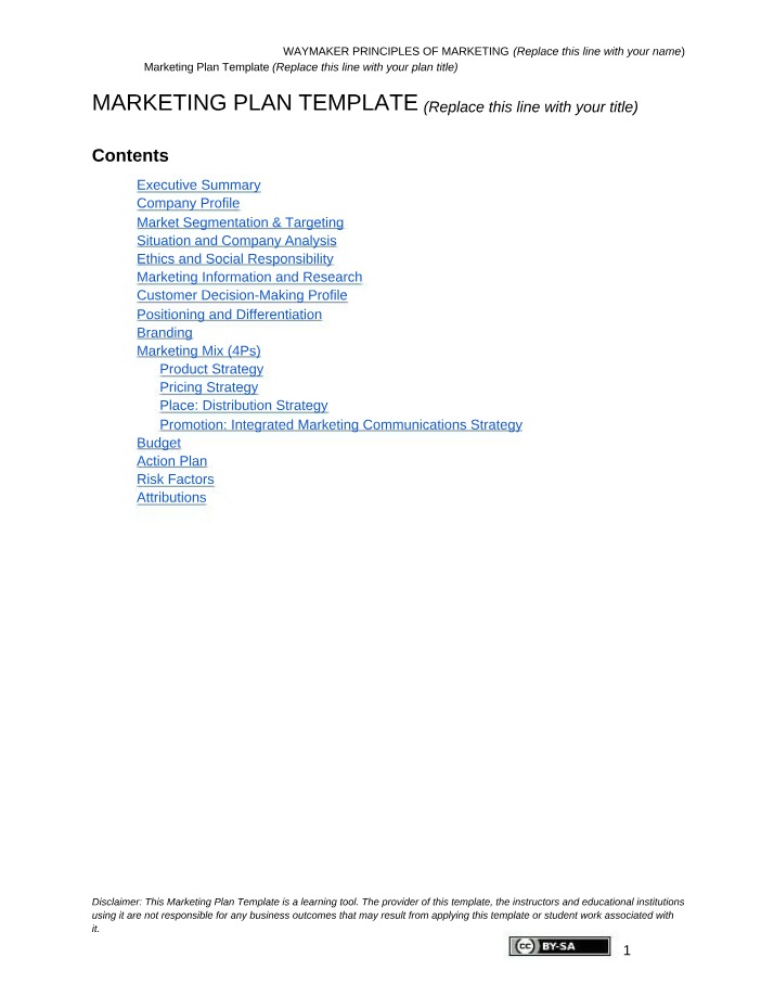 Template for a Marketing Plan