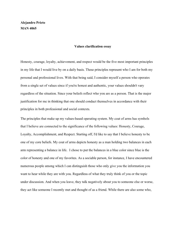 Essay on Values