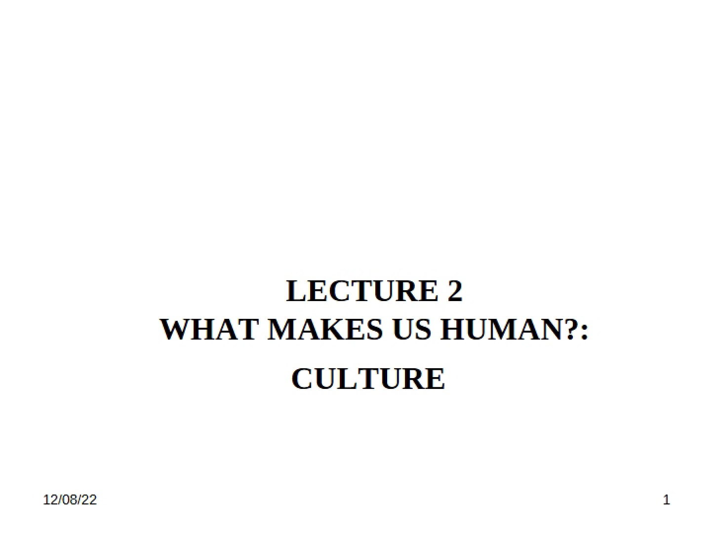 Culture What Defines Humanity