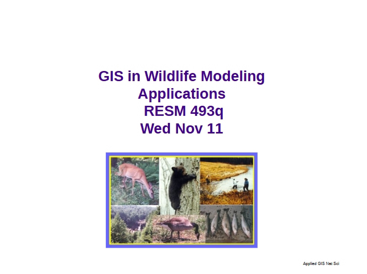 GIS Wildlife Modeling