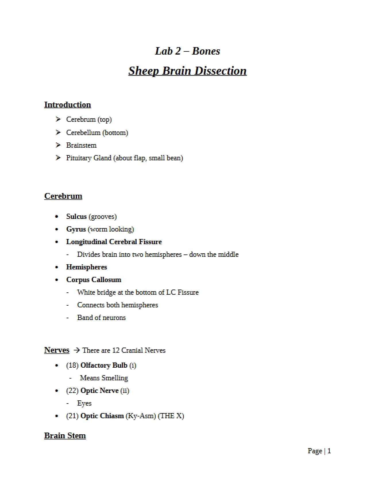 Bone Study Lab 2