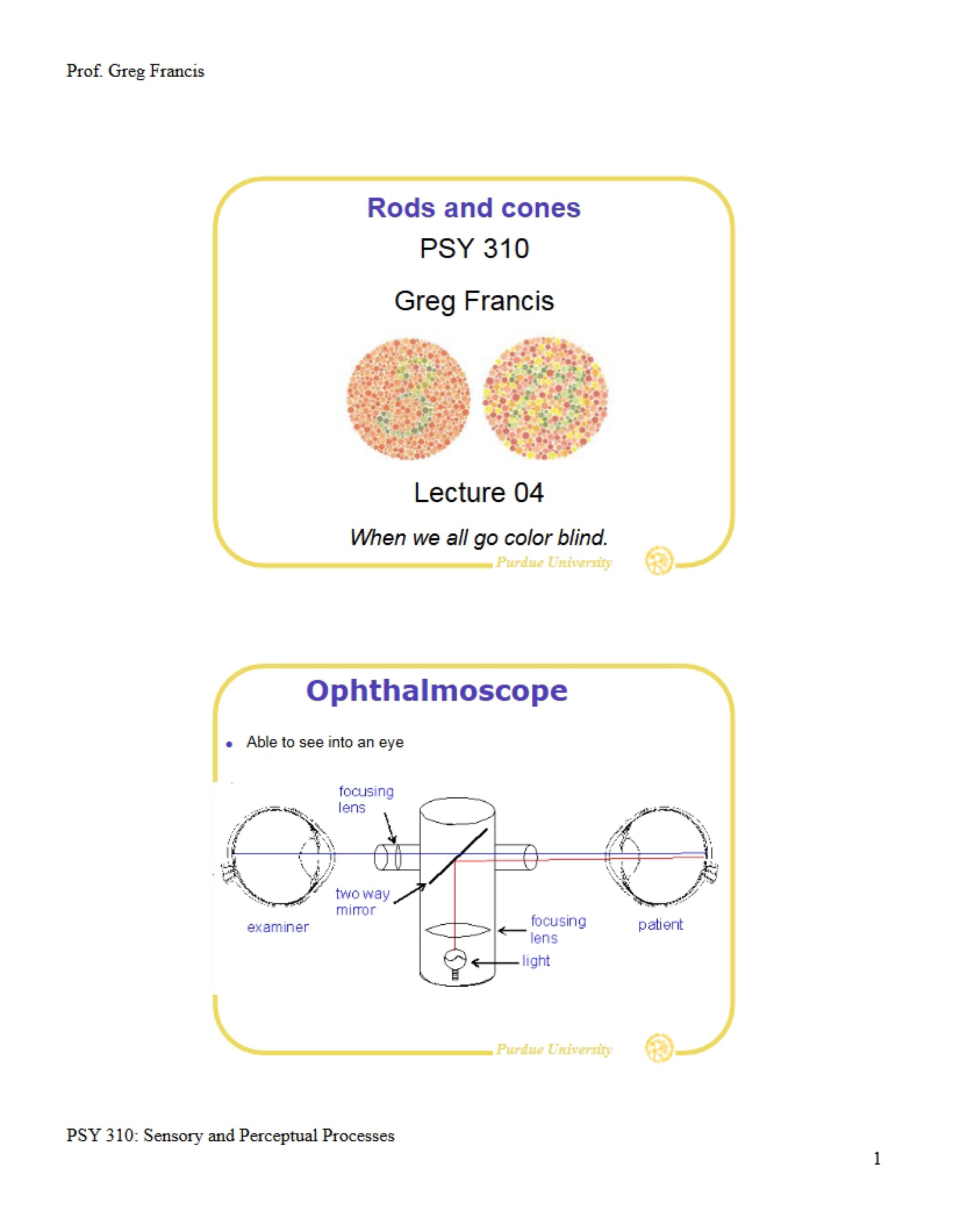Photoreceptors Rods and Cones