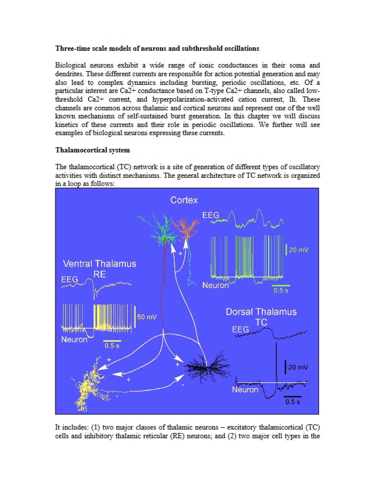 Biophysics of Neural Signaling