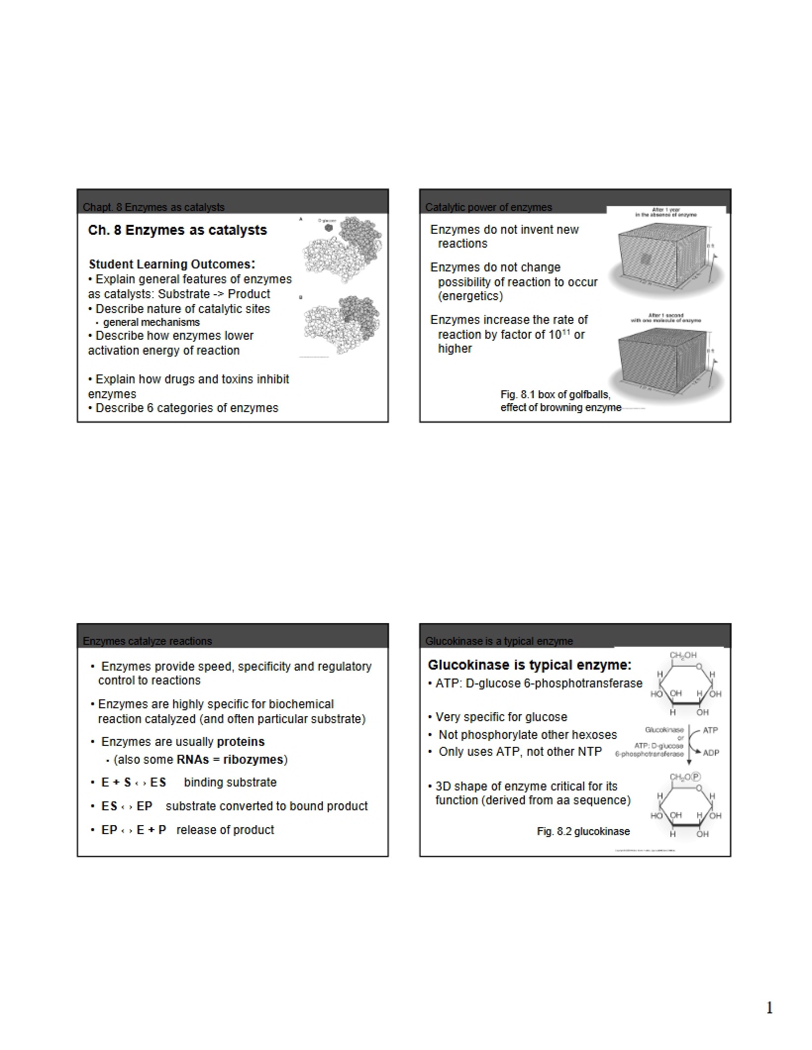 Biomedical Biochemistry Lecture Notes (5)
