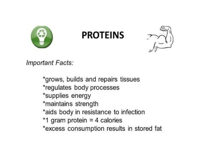 Important Facts About Proteins