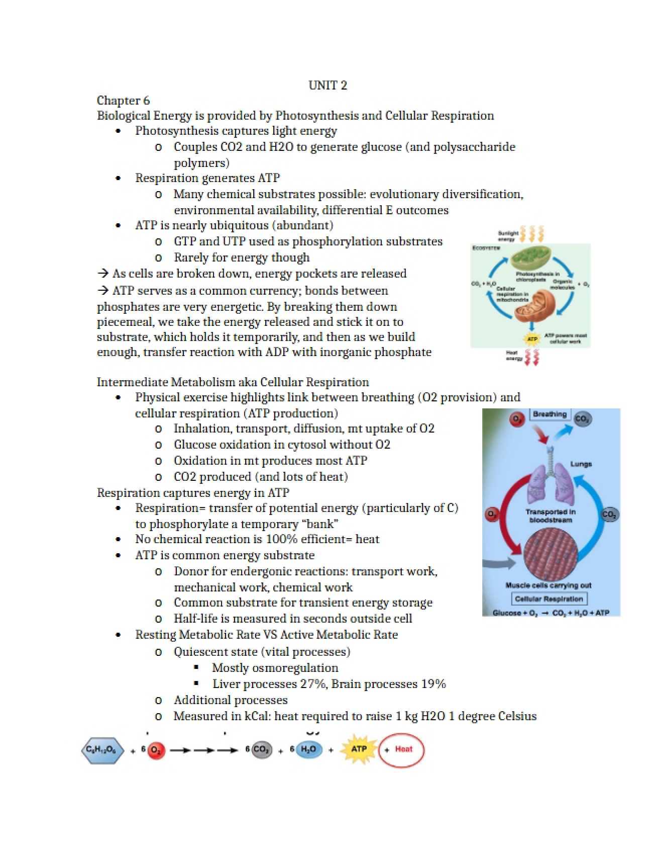 Biology Unit Two
