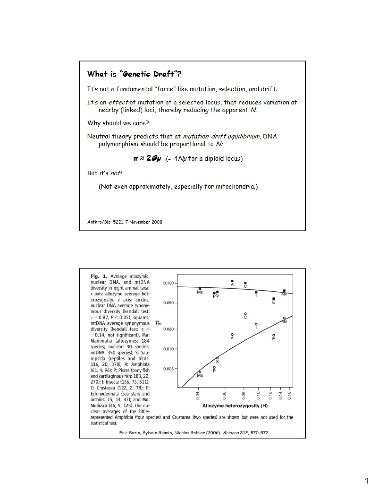 Genetic Draft - ANTH 5221