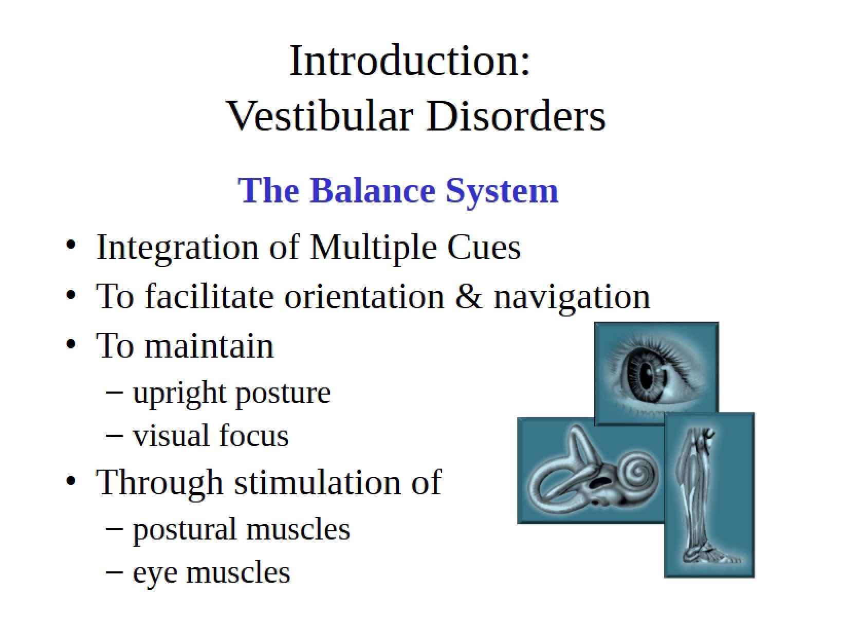Disorders of the Vestibular System