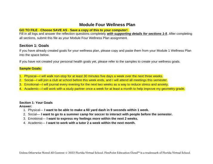Wellness Plan - Module Four