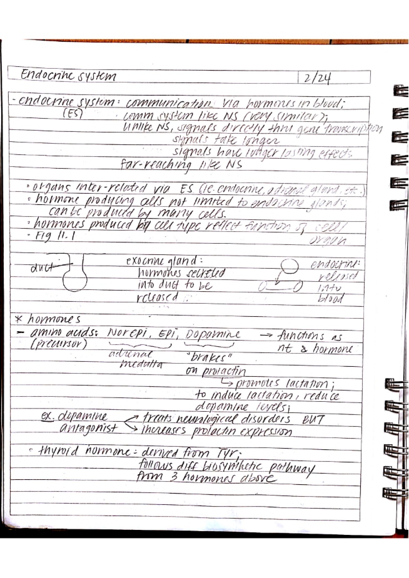 First Set of Notes for Systems Physiology