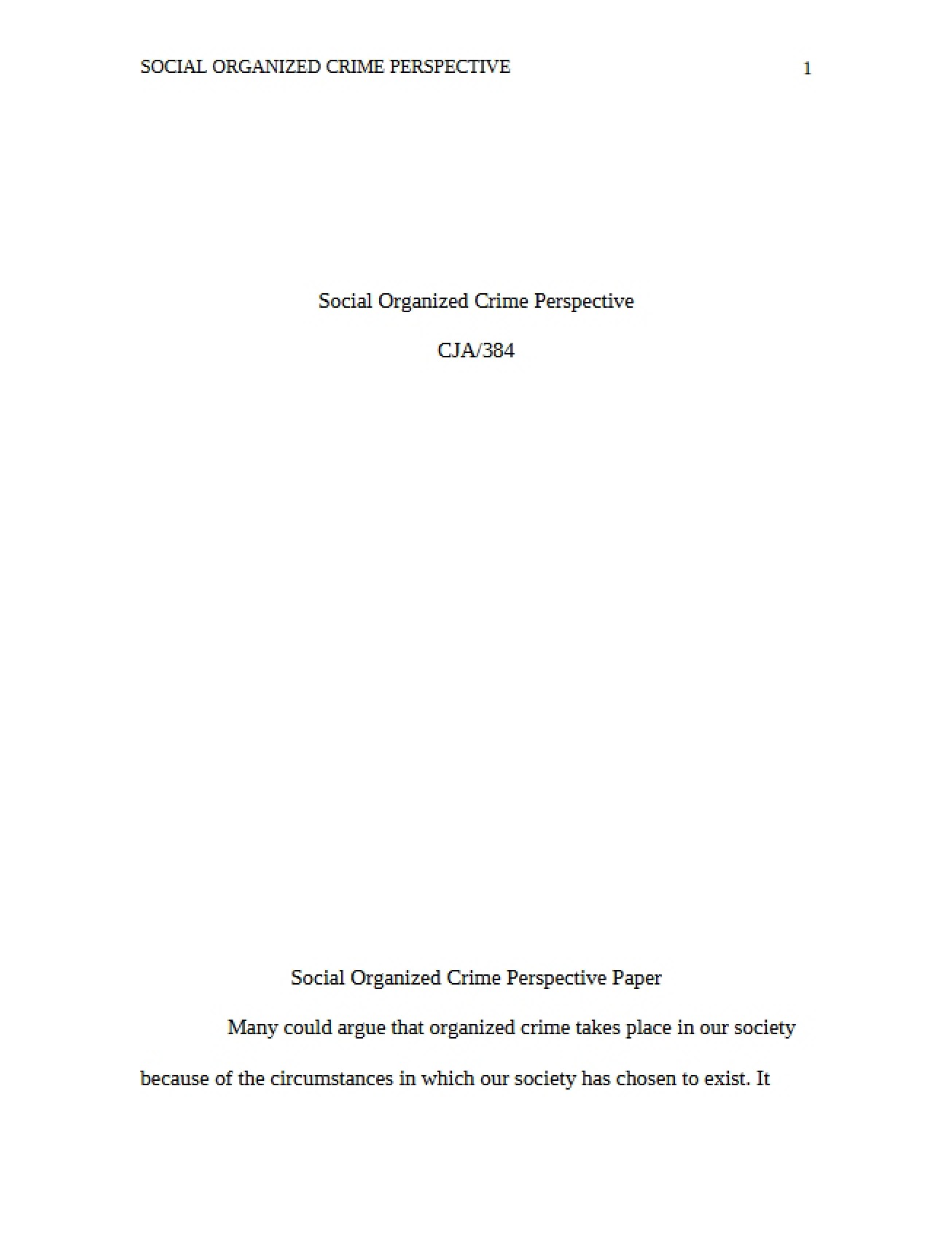 Perspective on Socially Organized Crime