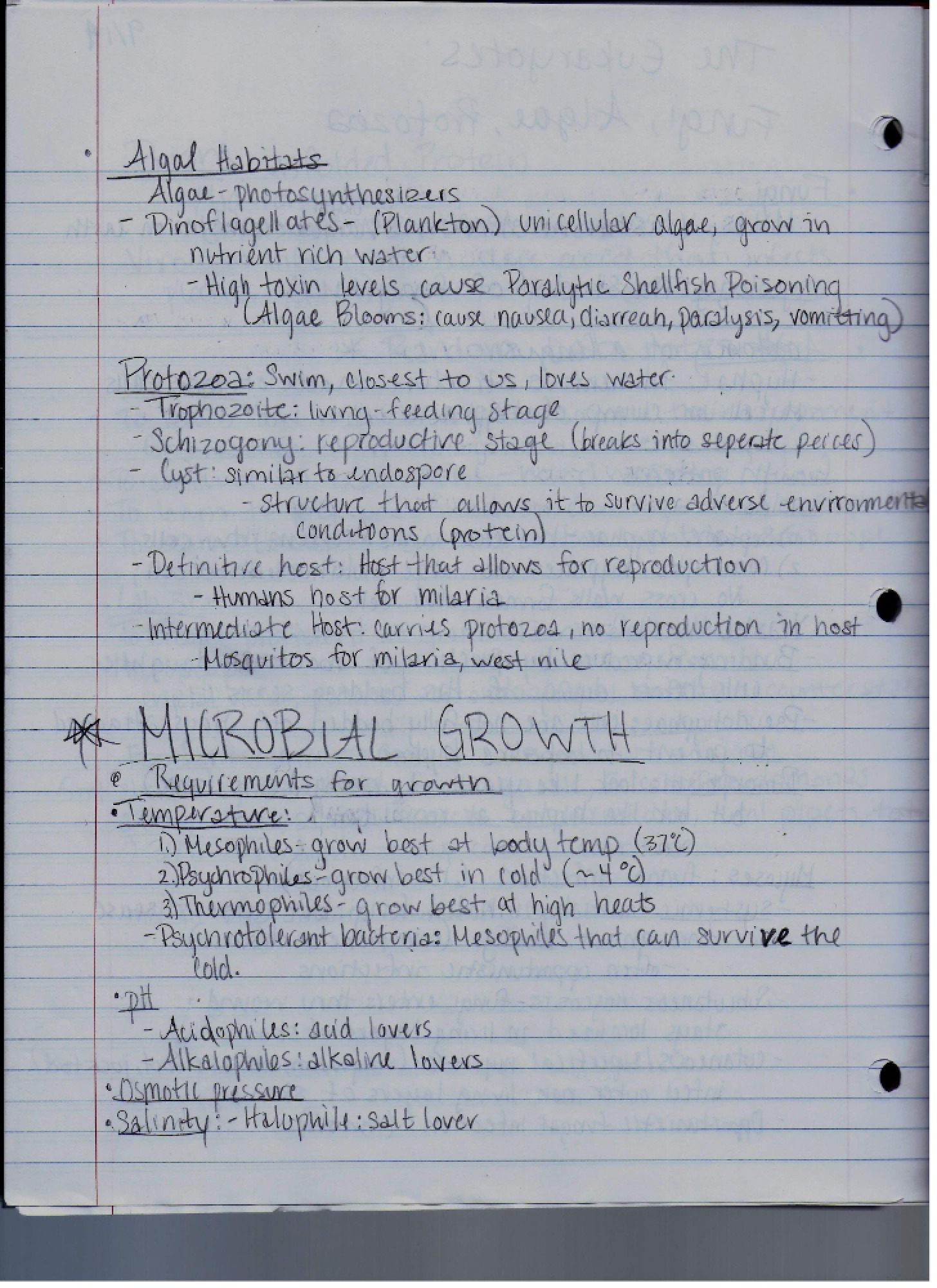 Course Notes