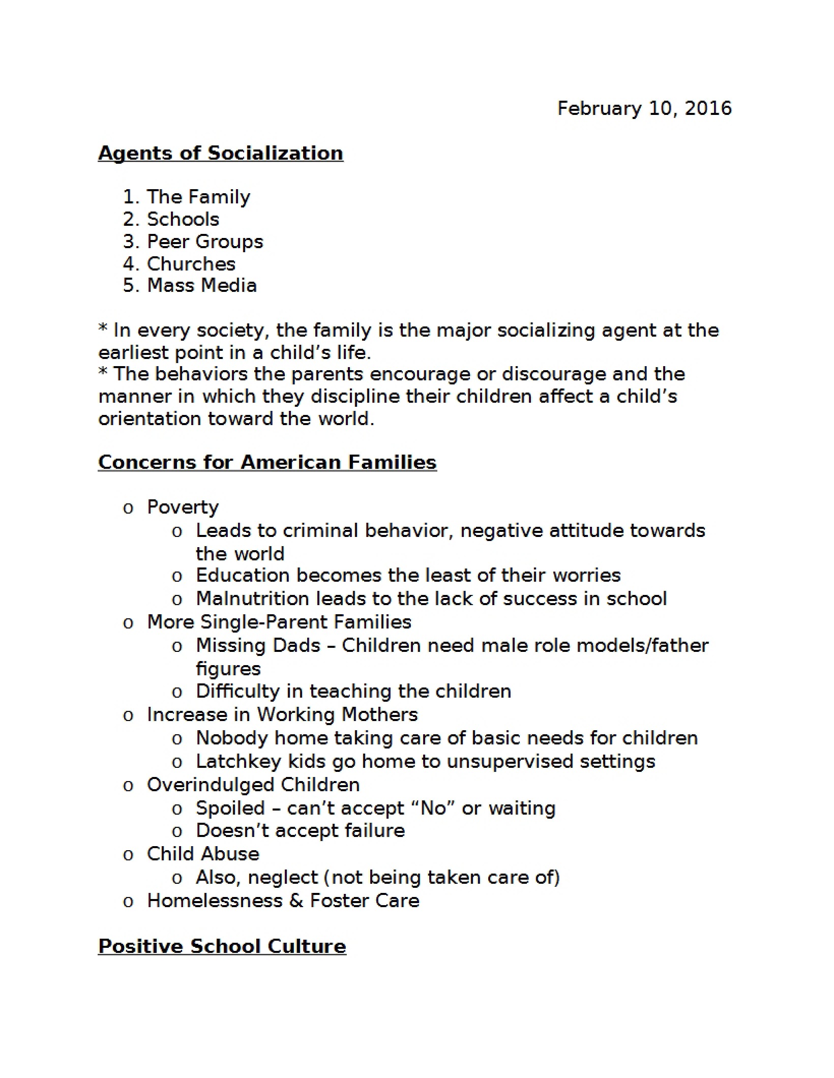 Socialization Agents