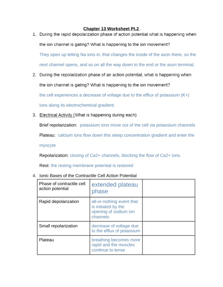 Chapter 13 Worksheet Part 2