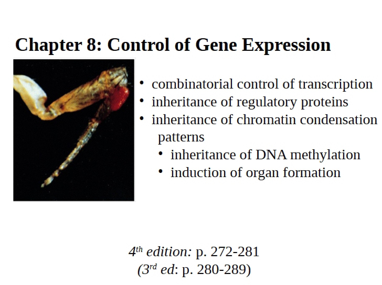 Gene Expression (Chapter 8)