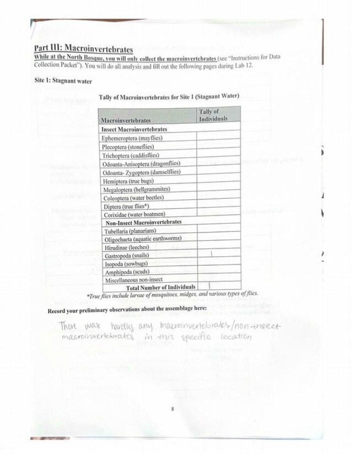 A Study of Macroinvertebrates in Stagnant Water
