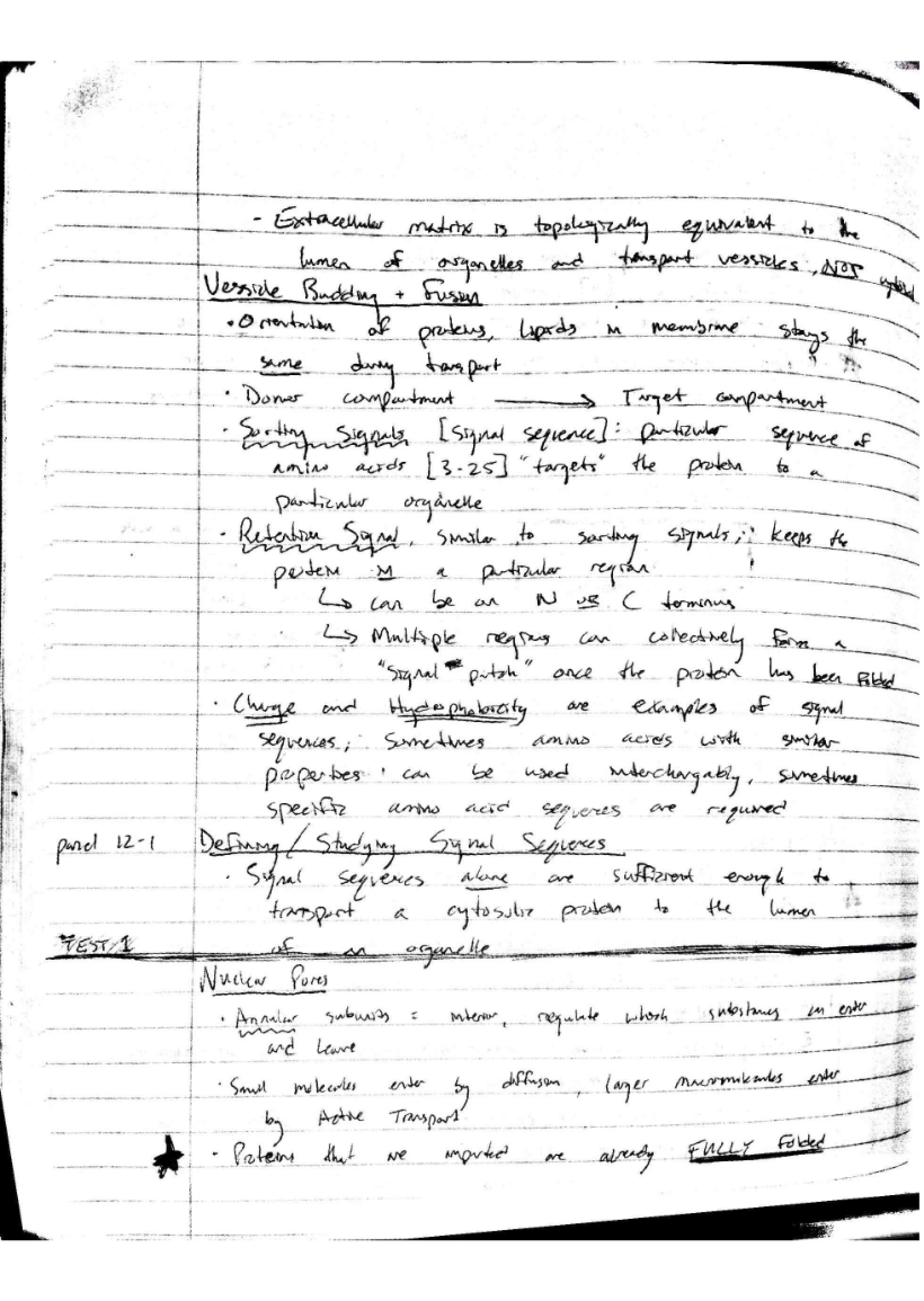 Cell Motility Notes - 9 Pages