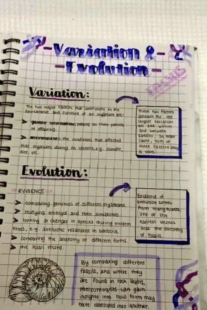 Notes on Variation and Evolution