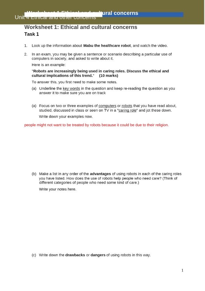 Worksheet 1 on Ethical and Cultural Concerns