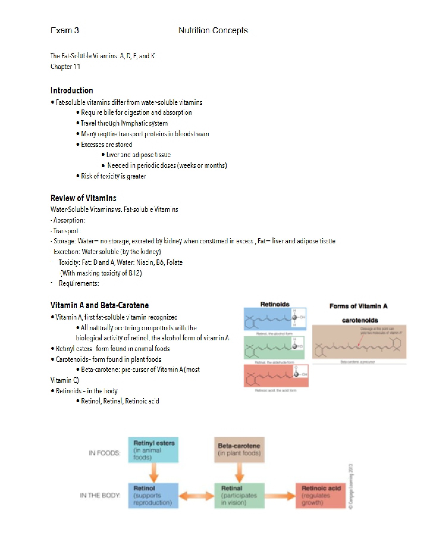 Vitamins Soluble in Water