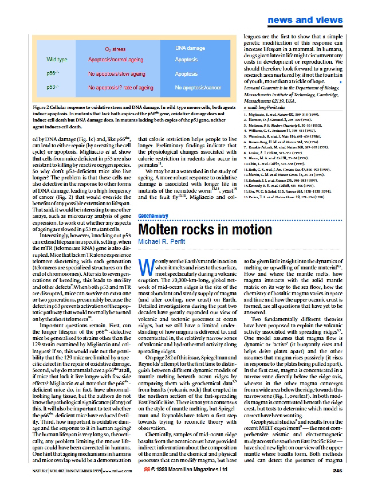 Dynamics of Molten Rocks