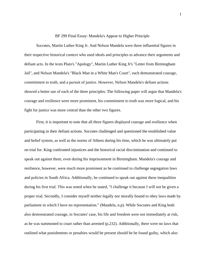 Final Essay for BF 299
