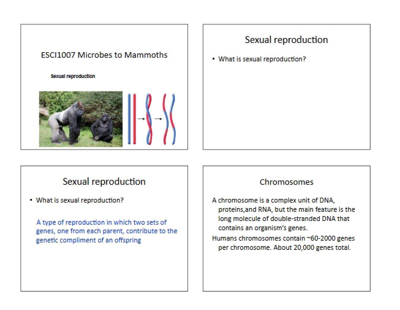 Lecture Slides Sexual Reproduction (Lecture 12)