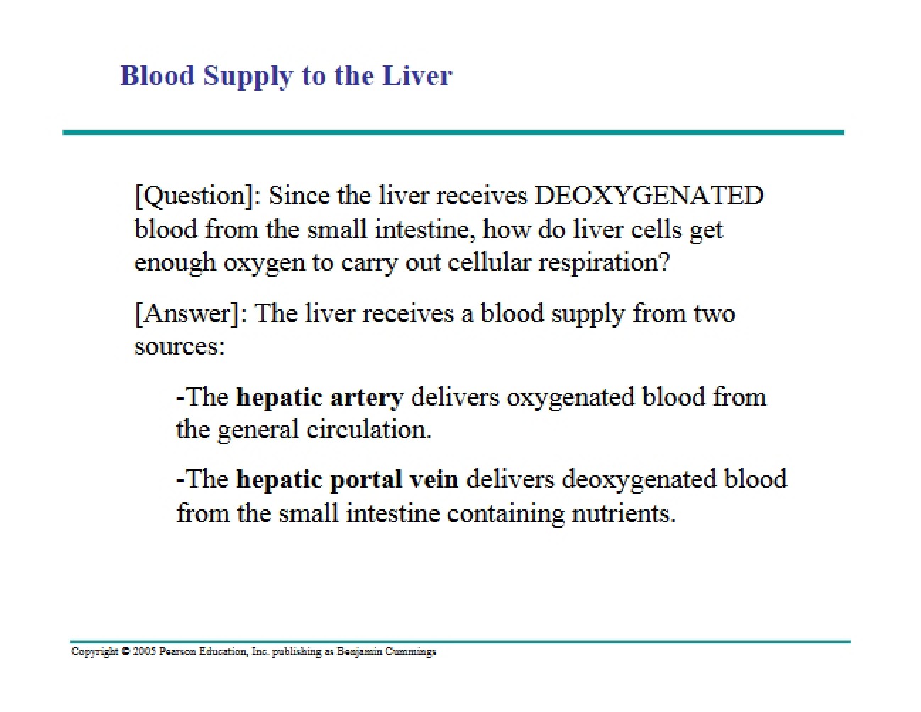 Liver Blood Supply
