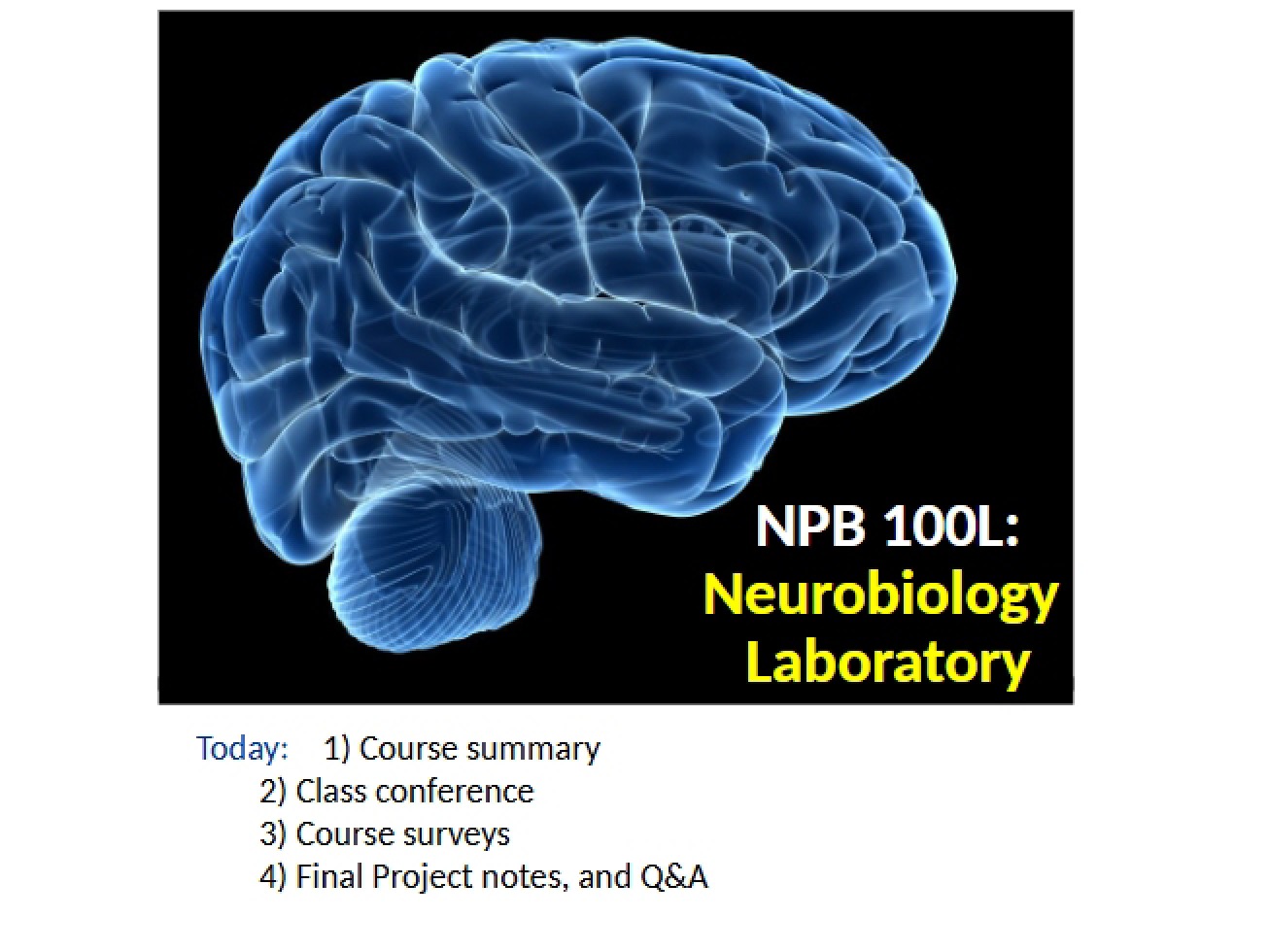 Laboratory in Neurobiology