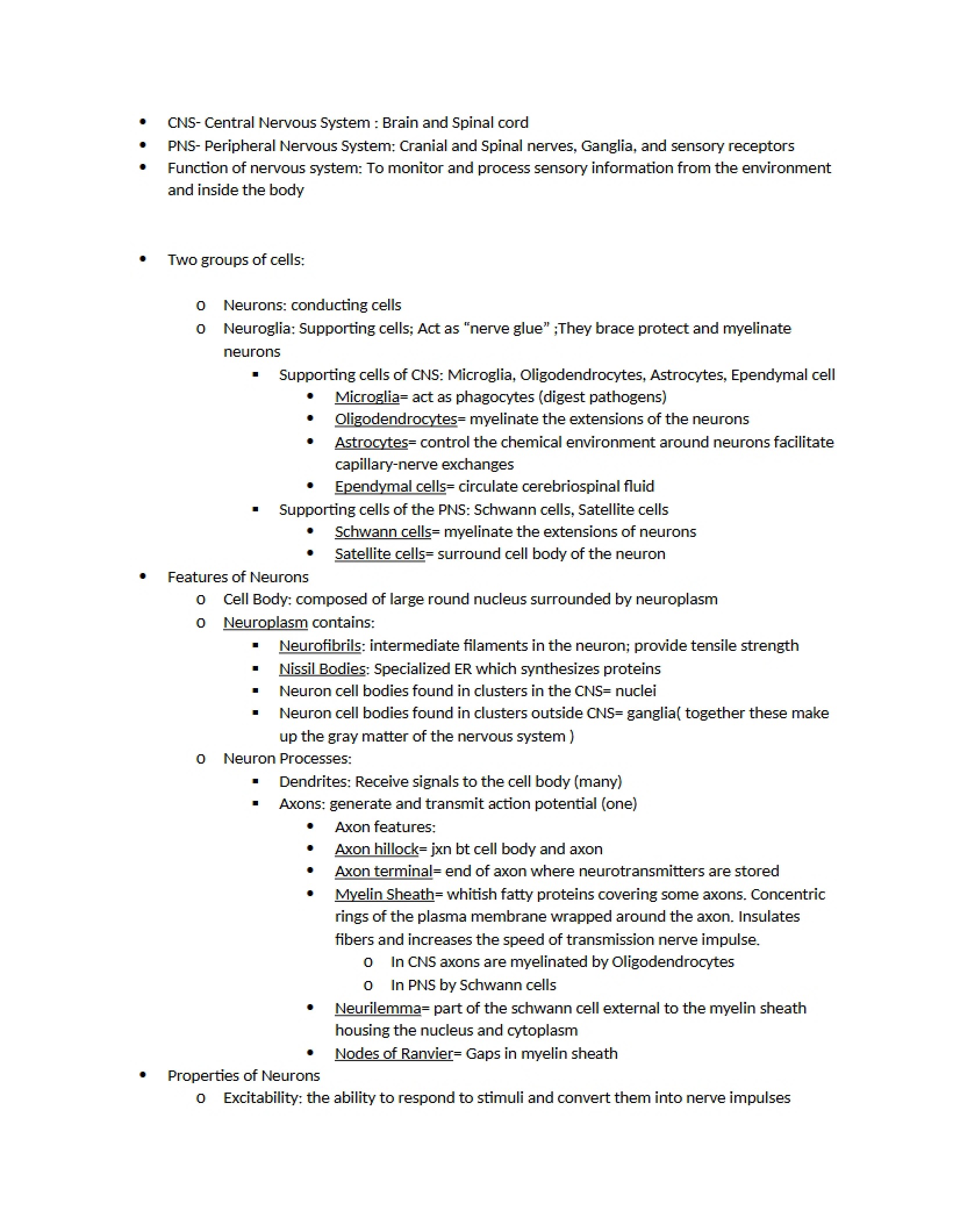 Central Nervous System (CNS) Overview - 5 Pages