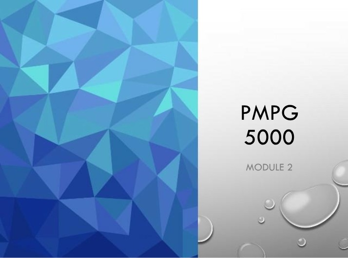 PMPG Module 2 Study - Strategic and Operational Management
