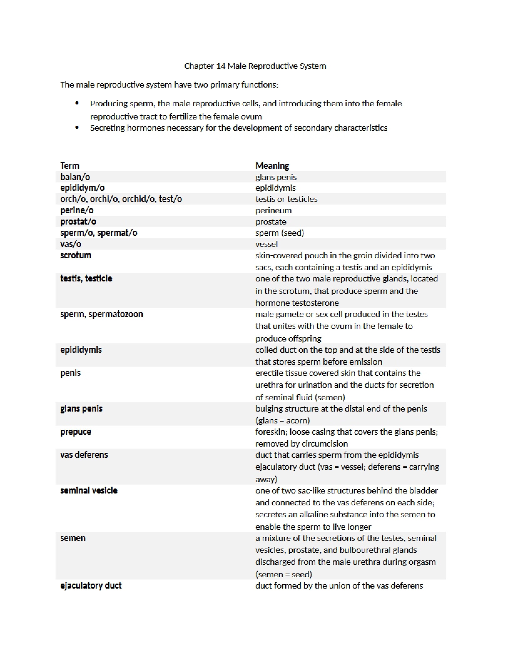 Reproductive System (Male) - Chapter 14
