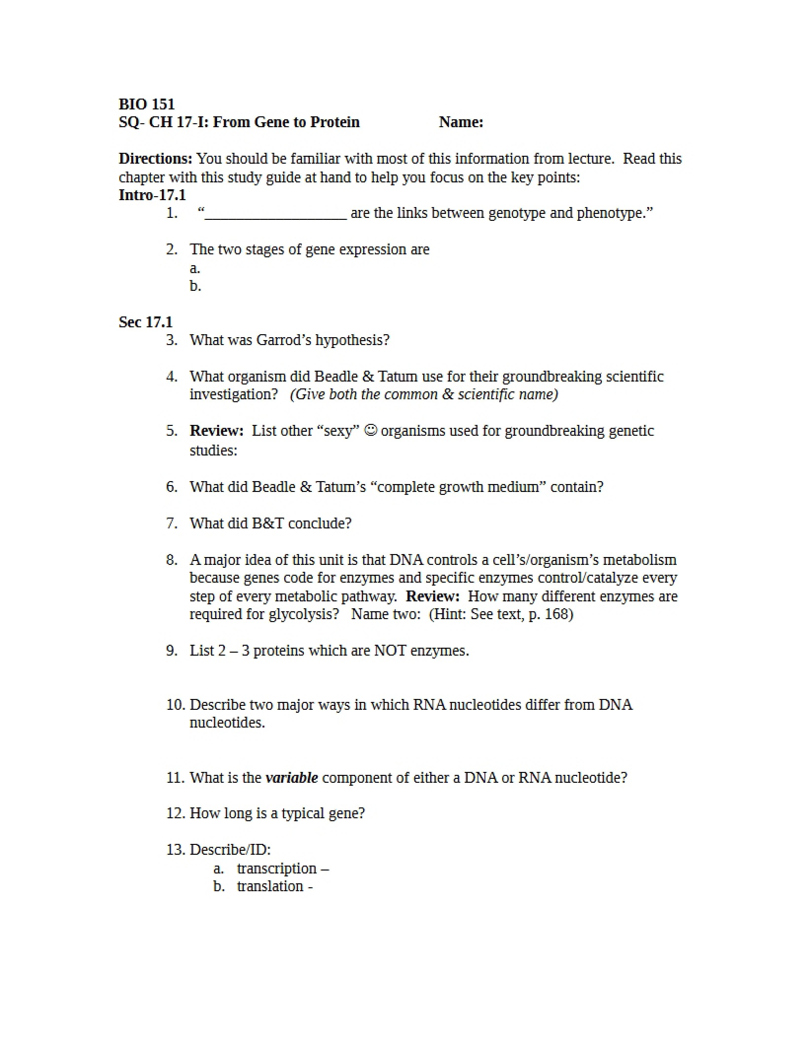 Protein Synthesis from Genes