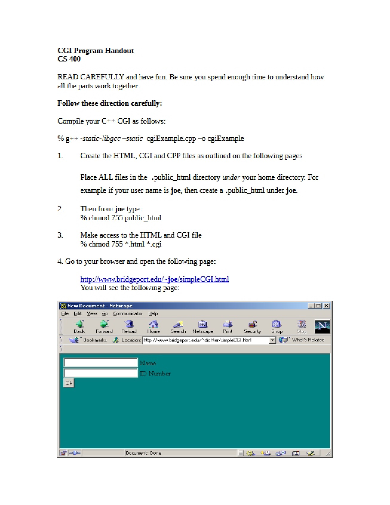Handout on Common Gateway Interface (CGI) Programming