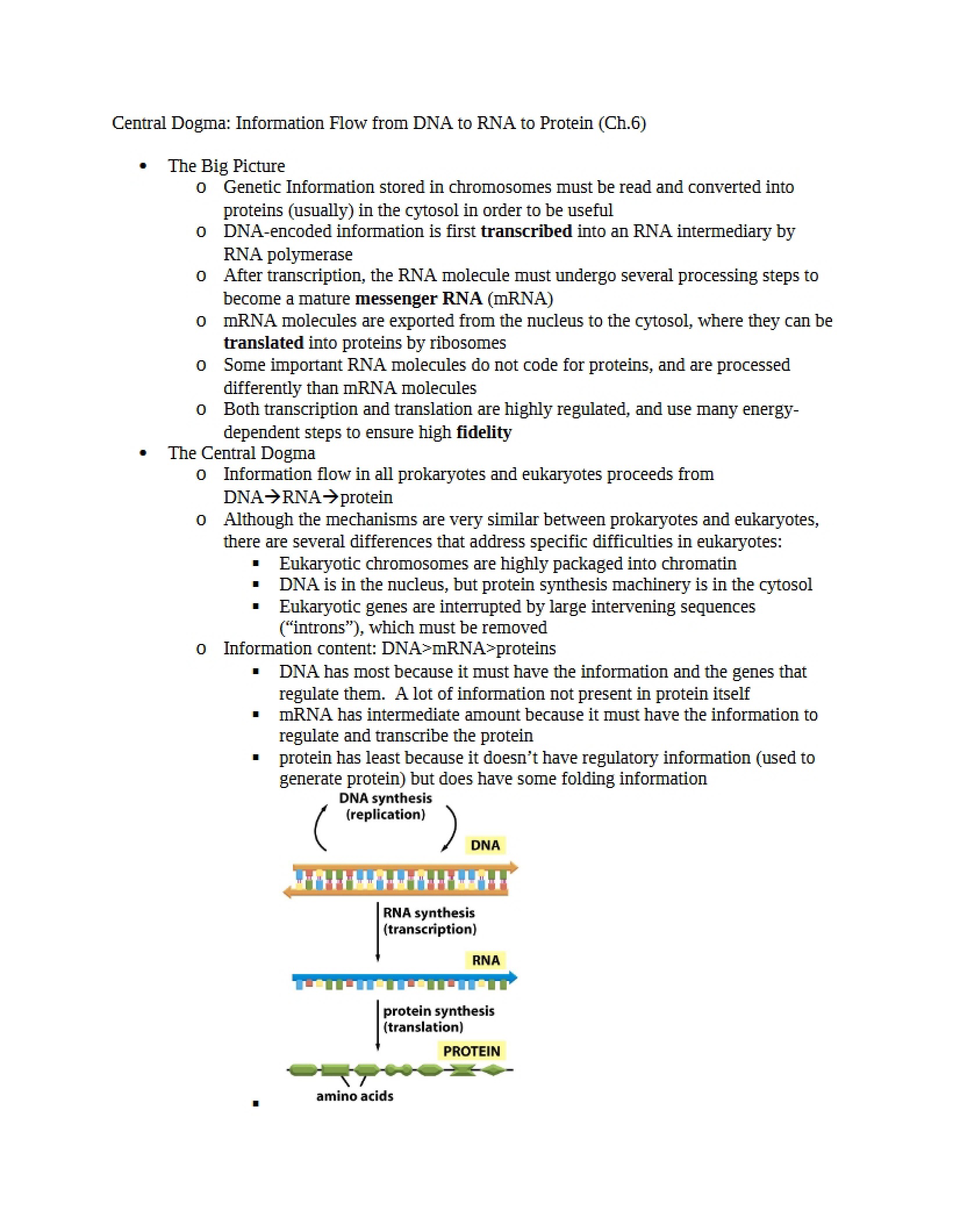 Molecular Information Pathway The Central Dogma