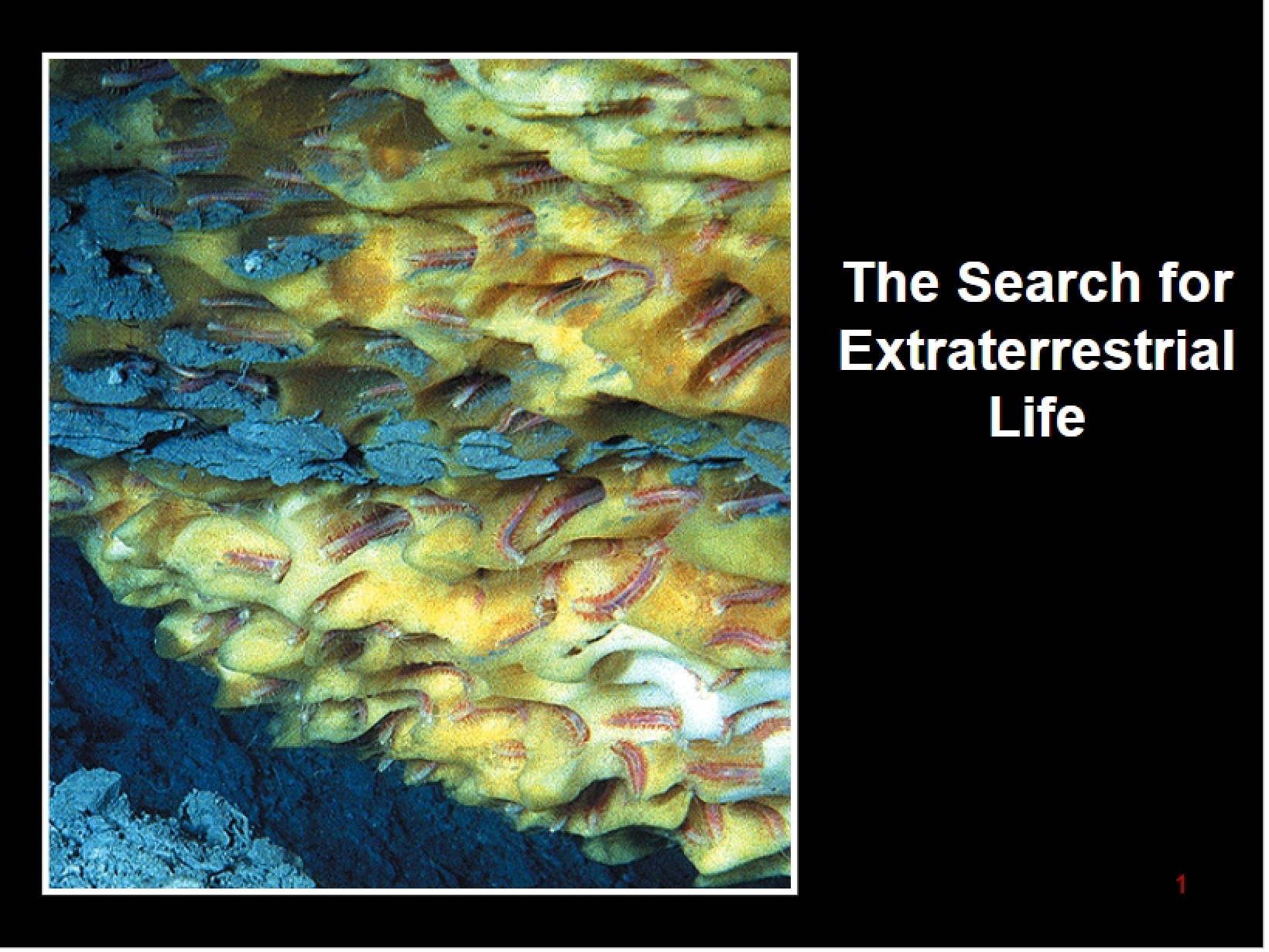 Searching for Life Beyond Earth