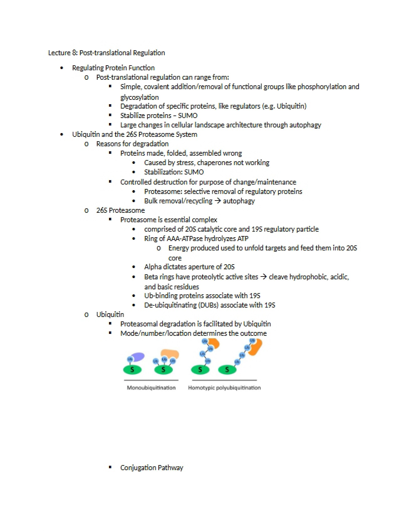 Regulation Post-Translational
