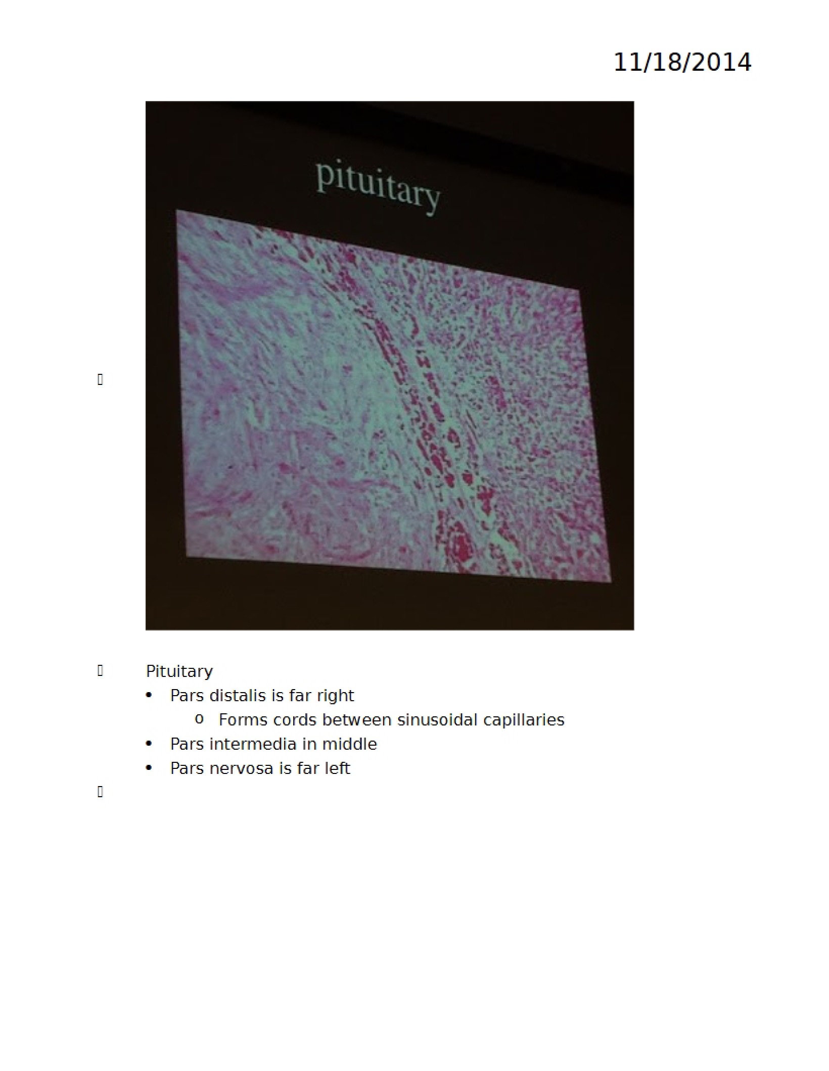 Slides for Histology Final