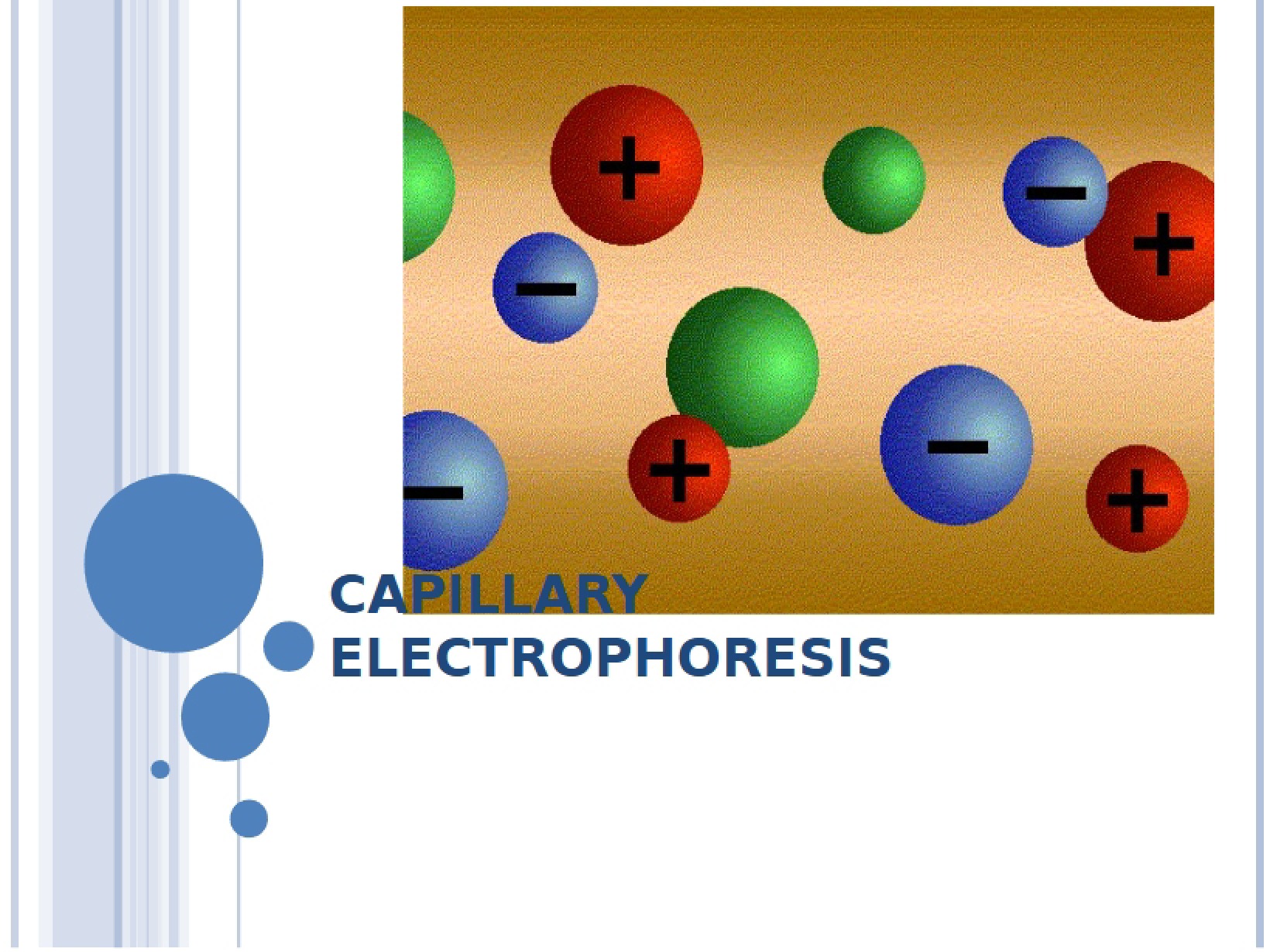 Electrophoresis in Capillaries