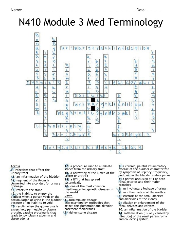 Module 3 Medical Terminology Crossword