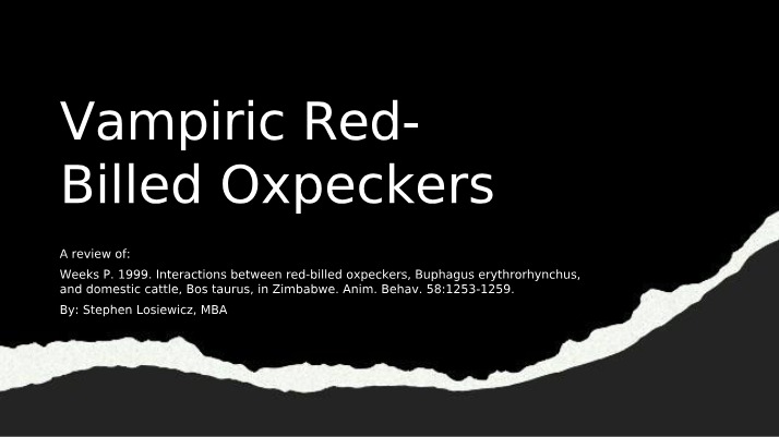 Red-Billed Oxpeckers (Vampiric)