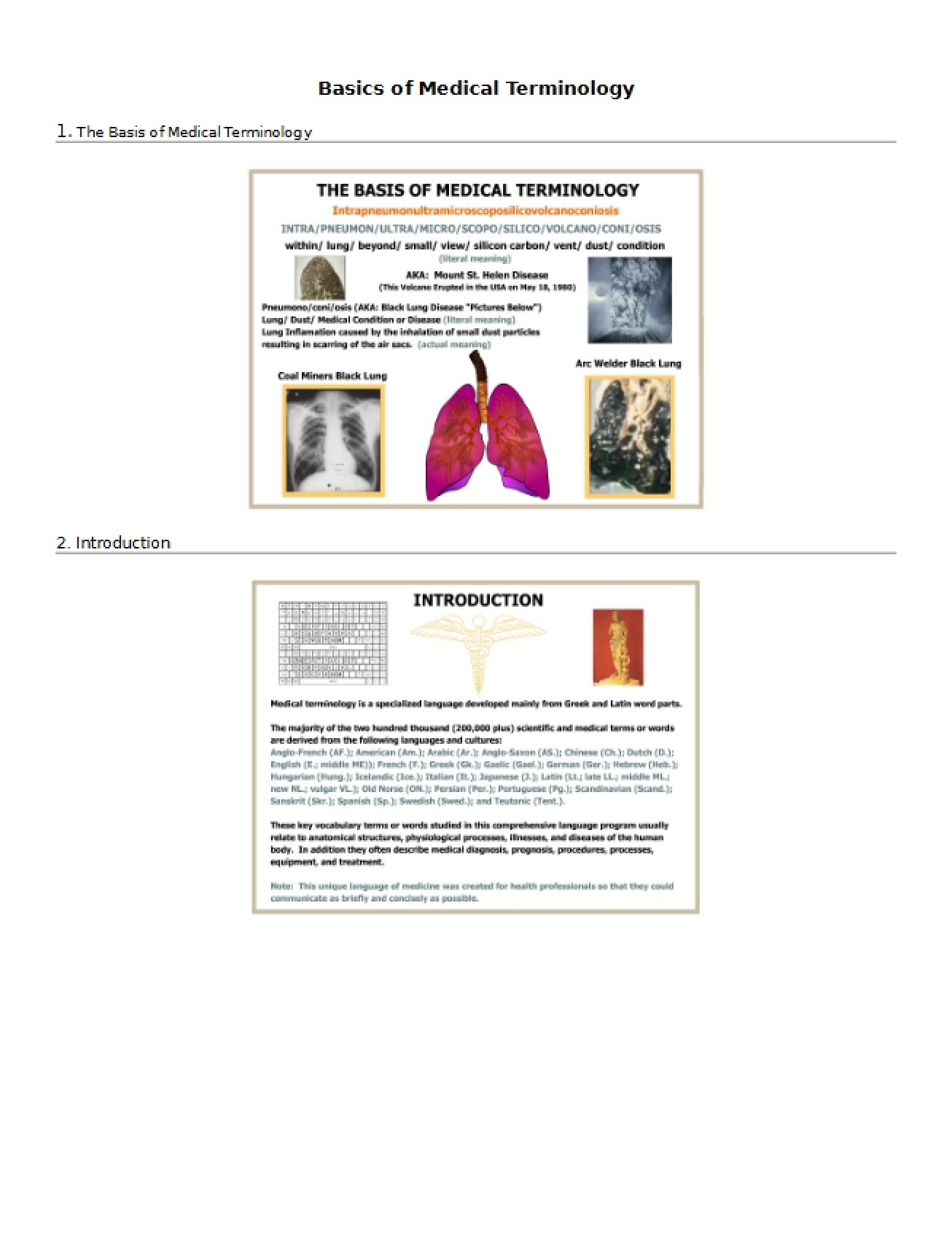 Introduction to the Basics of Medical Terminology