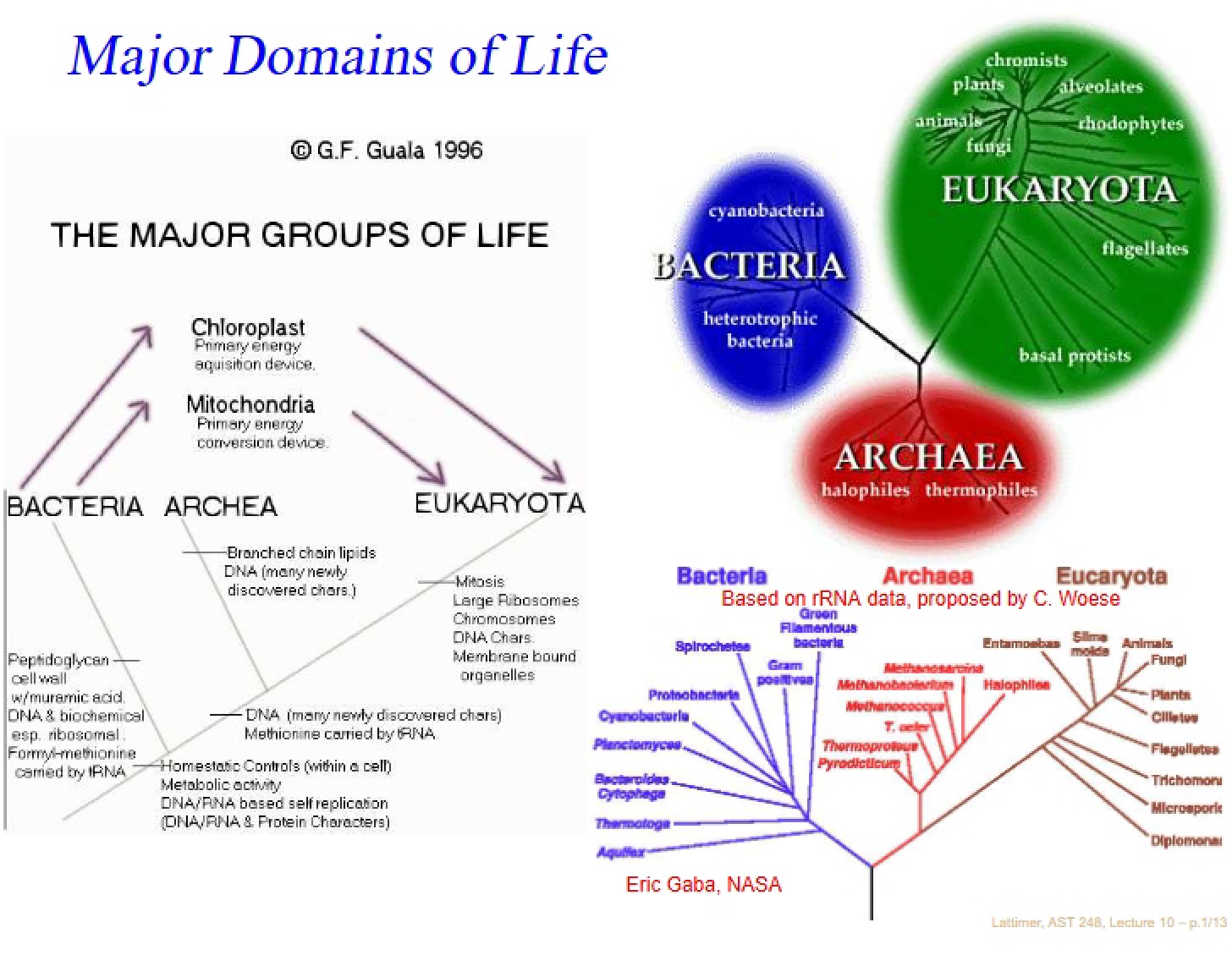 Life's Major Domains