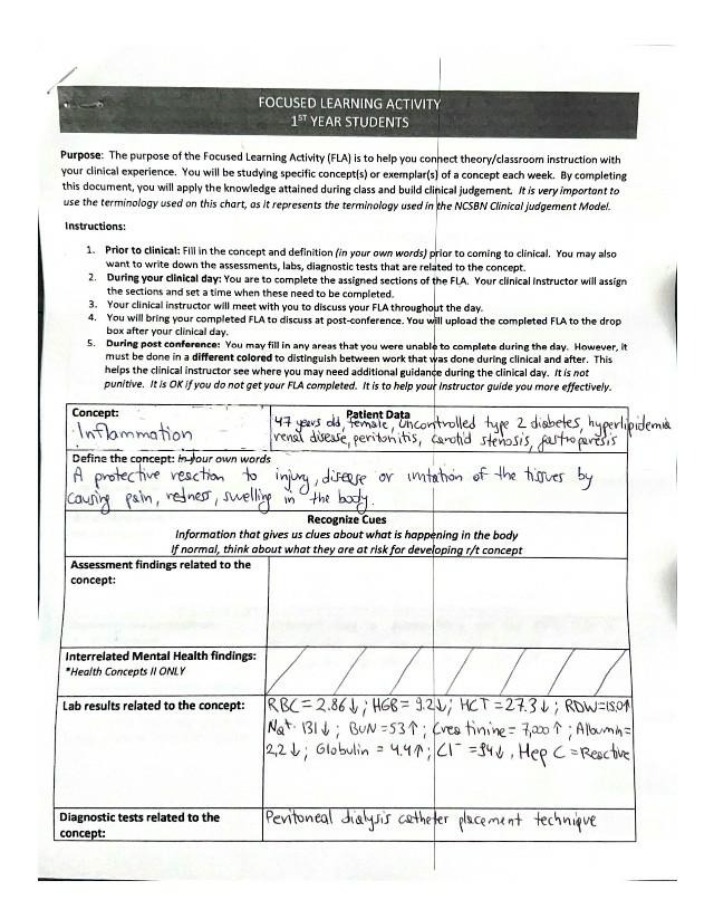 FLA Assignment - Week 12