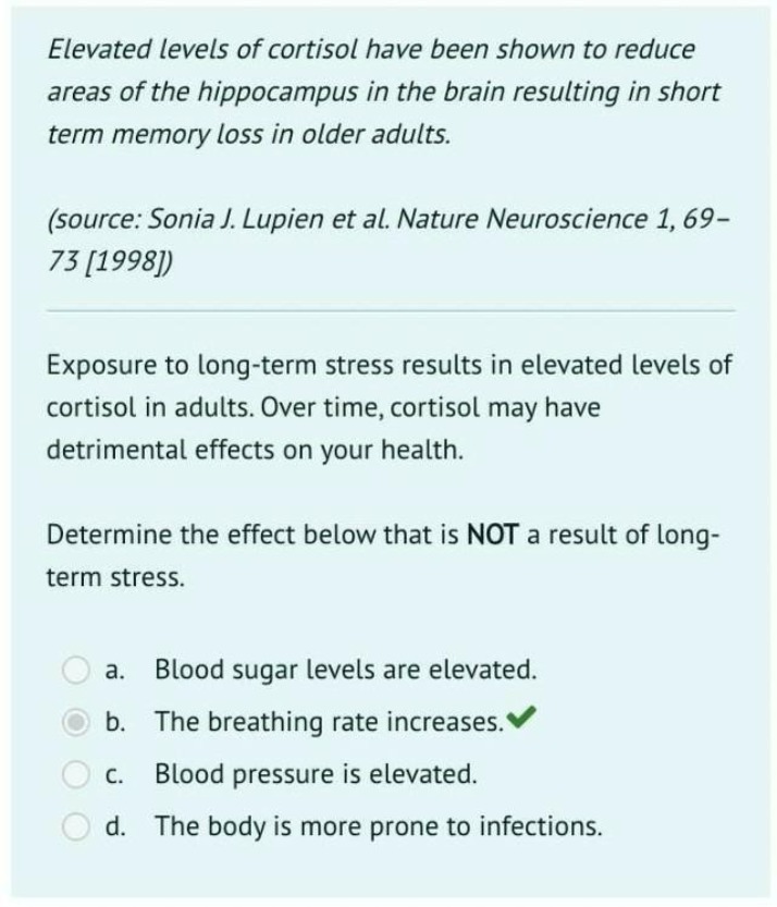 Impact of Elevated Cortisol Levels on Memory