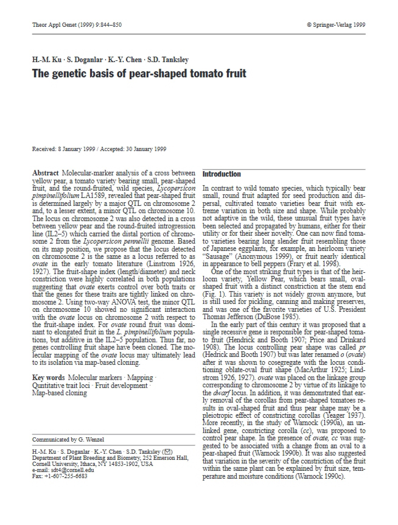 Pear-Shaped Tomato Fruit Genetics