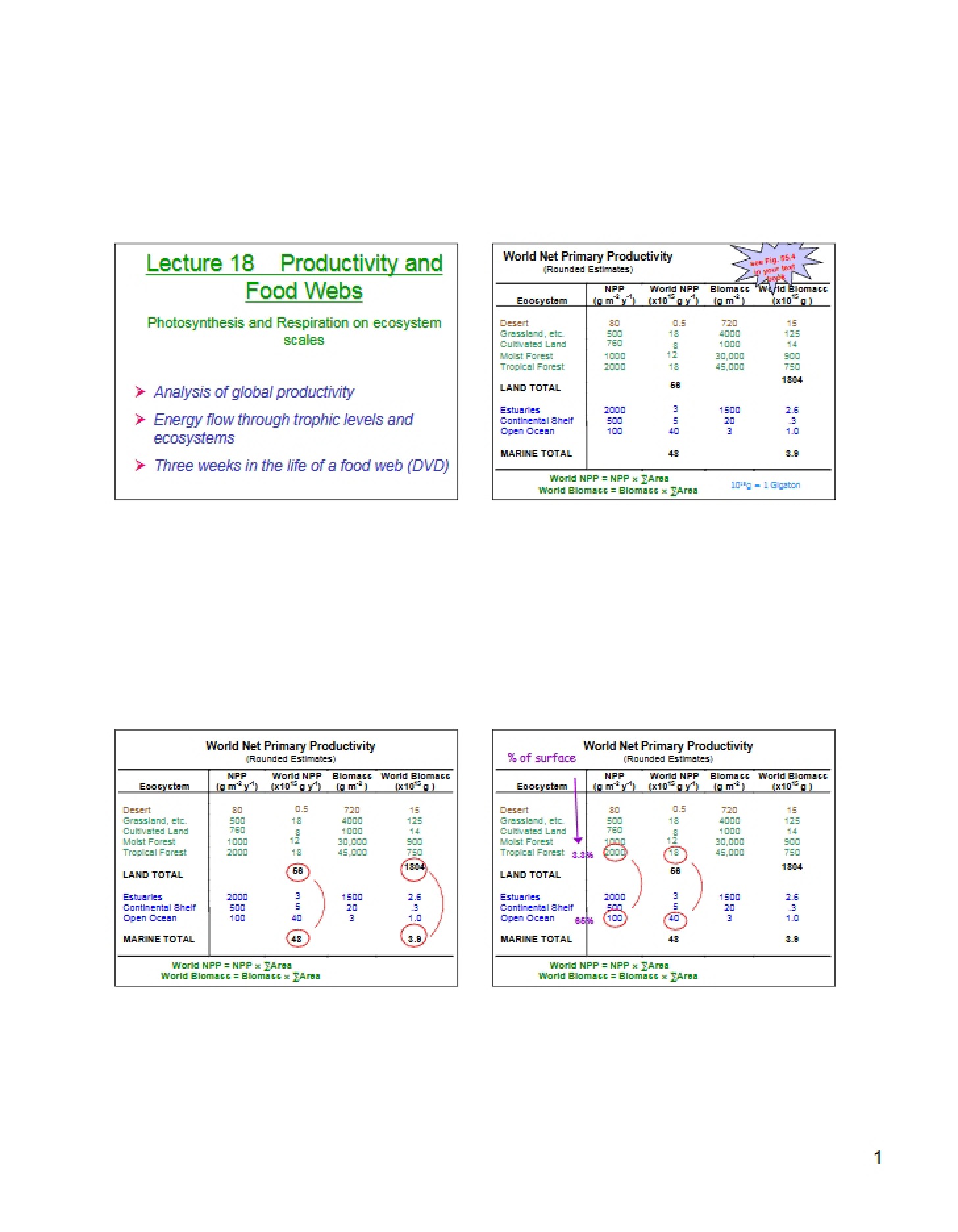 Food Webs and Productivity