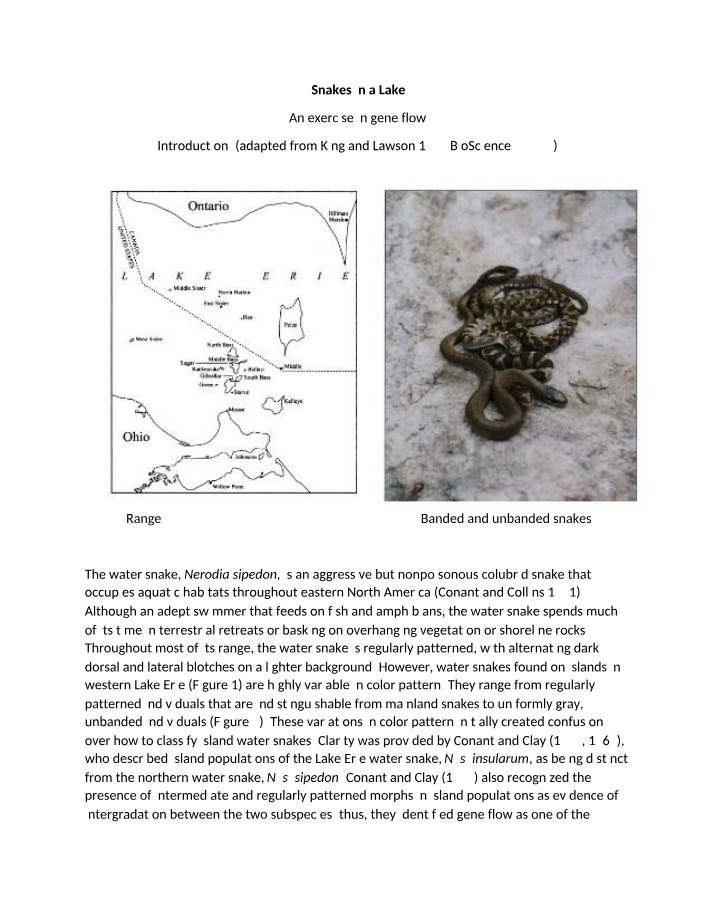 Snakes of the Lake