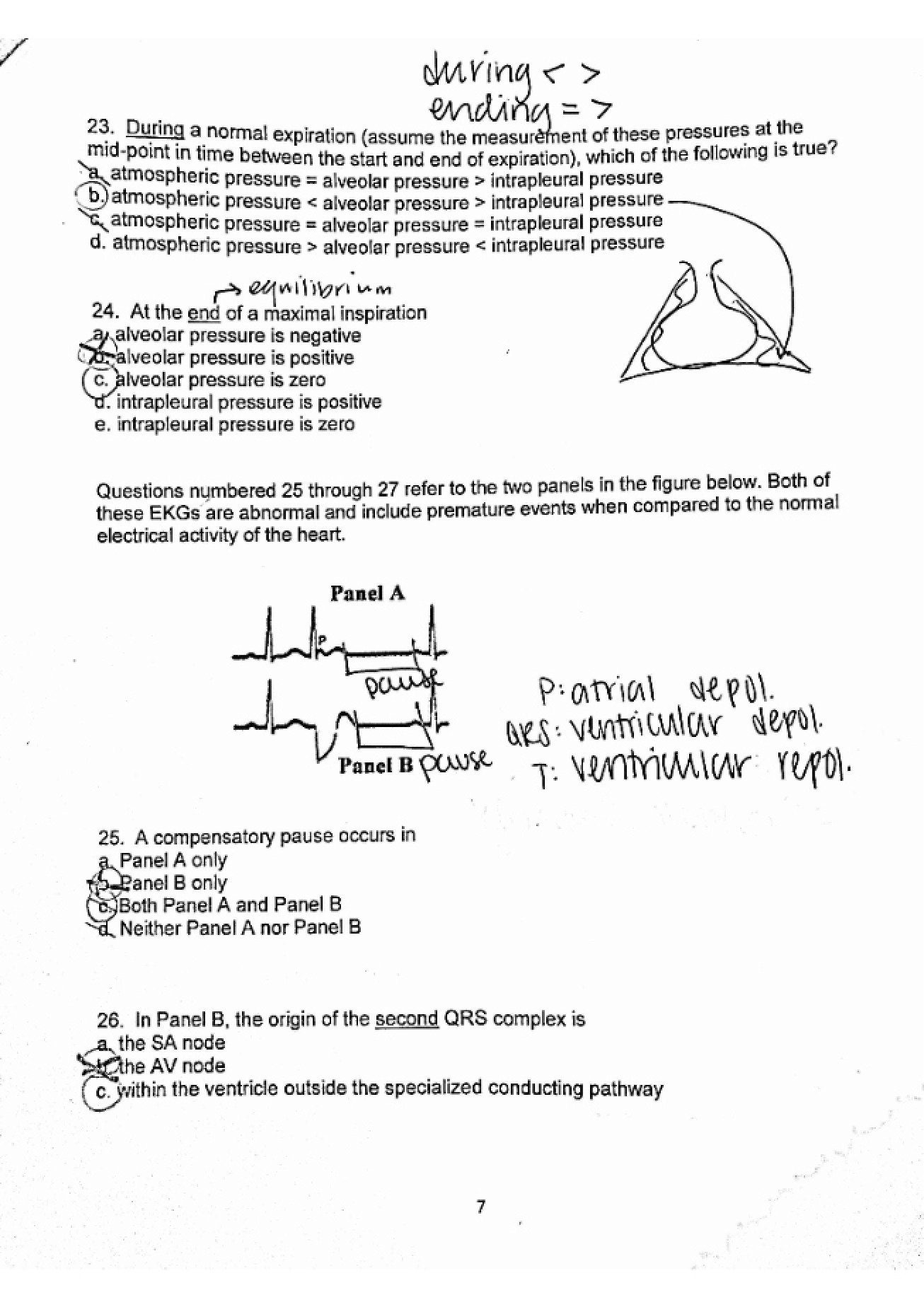 Seventh Page of Human Parasitology Notes
