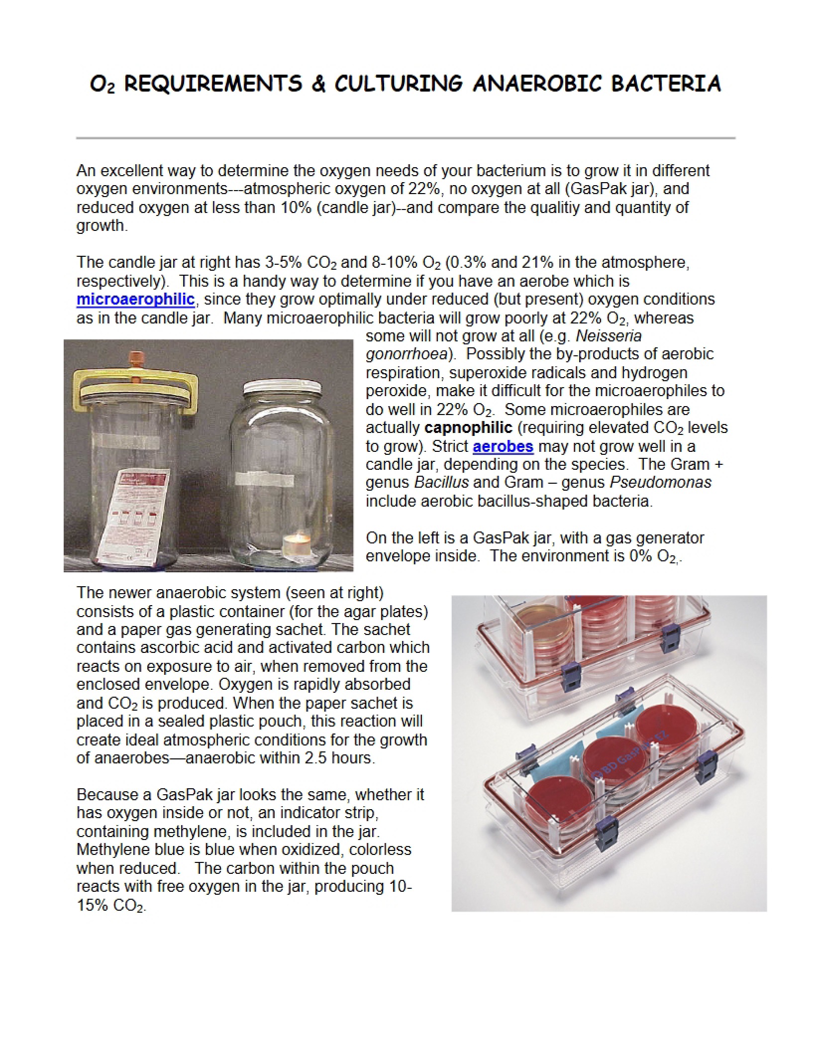 Oxygen Requirements and Cultivation of Anaerobic Bacteria